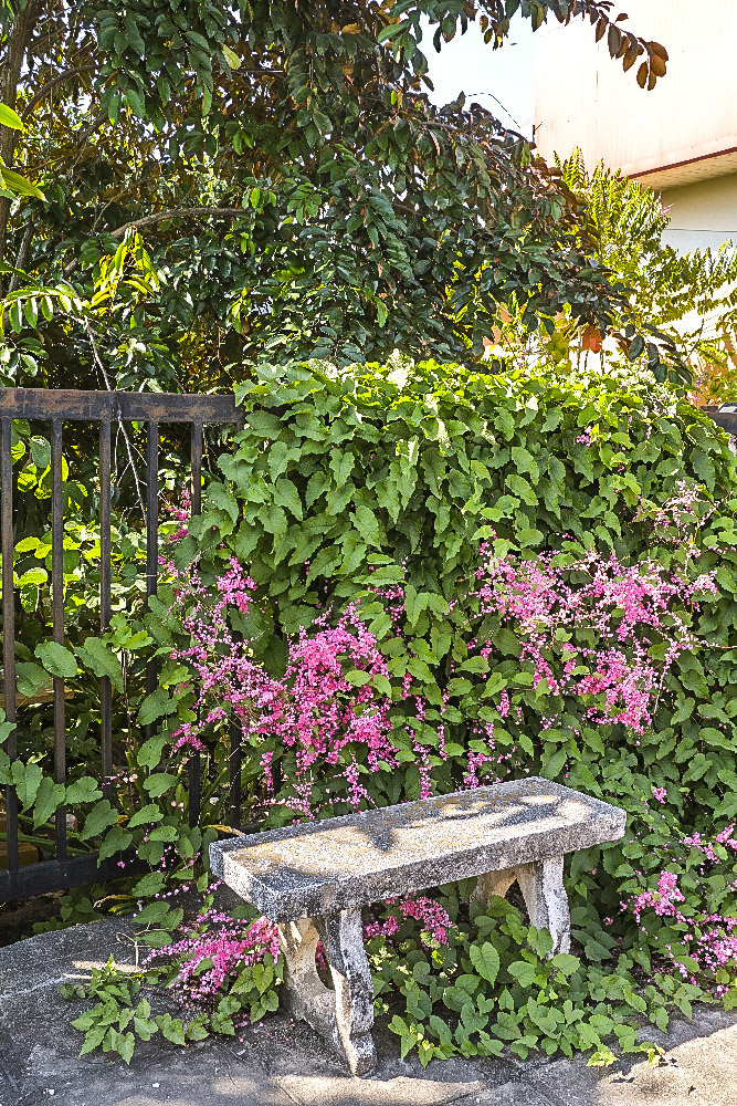 24-1150 Blommor och bänk, Fang CHM.jpg