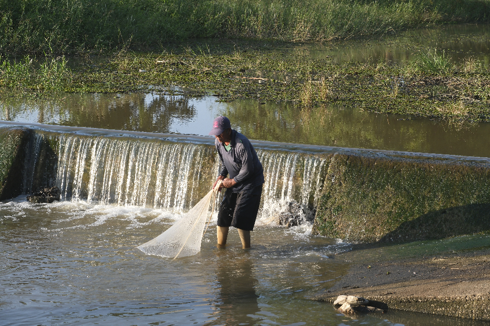 24-1198 Fiskare, Pa Daet CHR.JPG