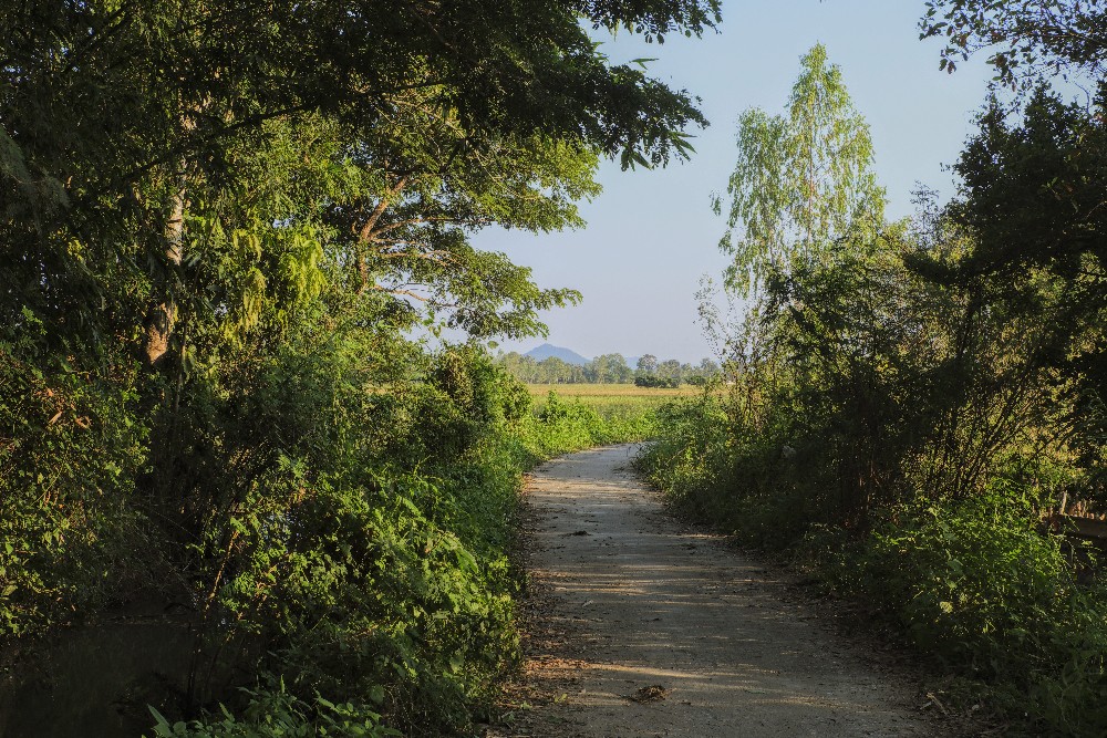 24-1201 Väg ut på fälten, Pa Daet CHR.JPG