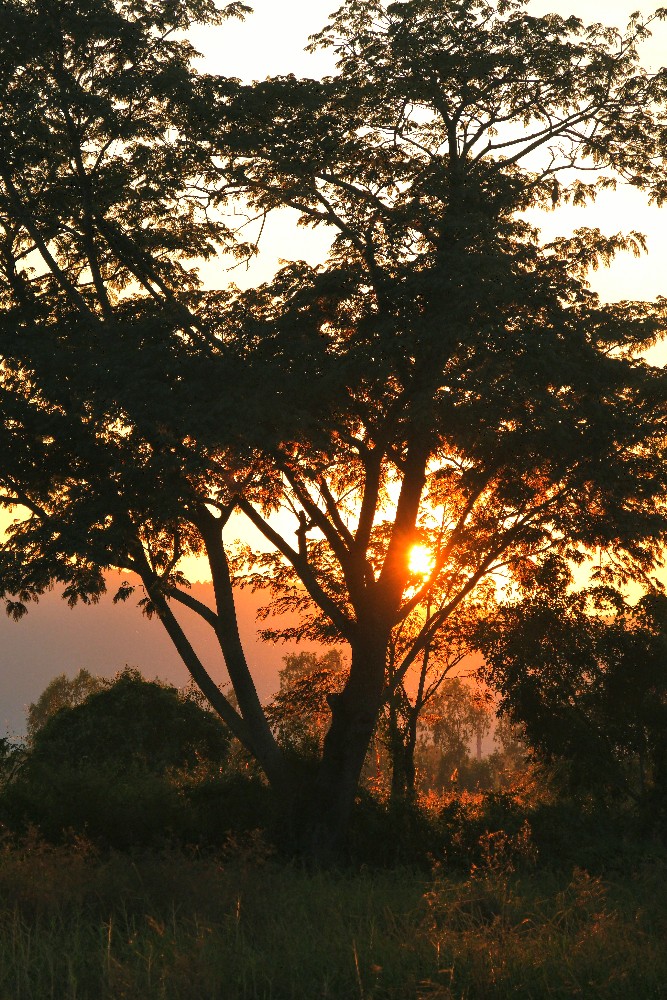 24-1206 Solnedgång, Pa Daet CHR.JPG