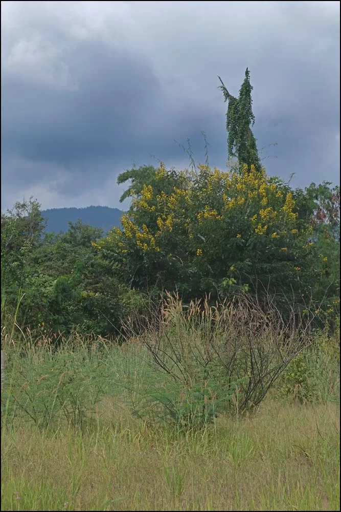 25-0921 Ovädersmoln över bergen CHM.webp