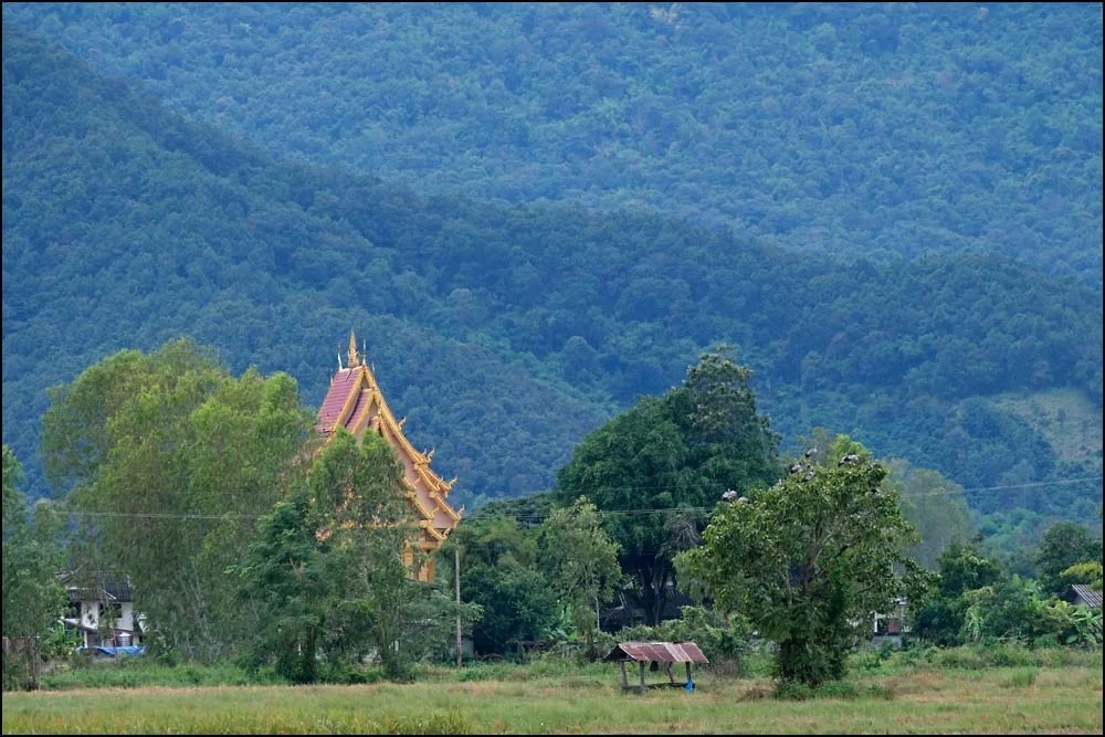 25-0997 Tempel i Ban Pong CHR.webp