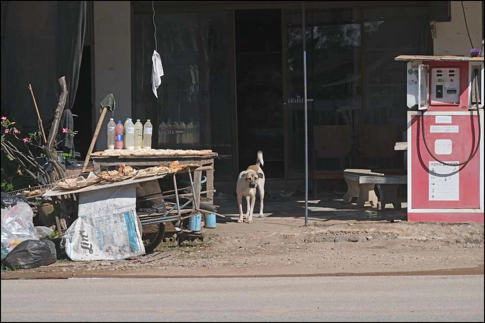 25-1022 Butiksracka.webp