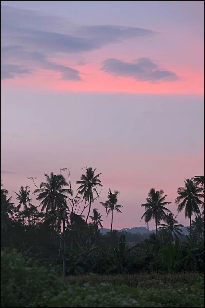 26-0032 Skymning, Pajo CEB.webp