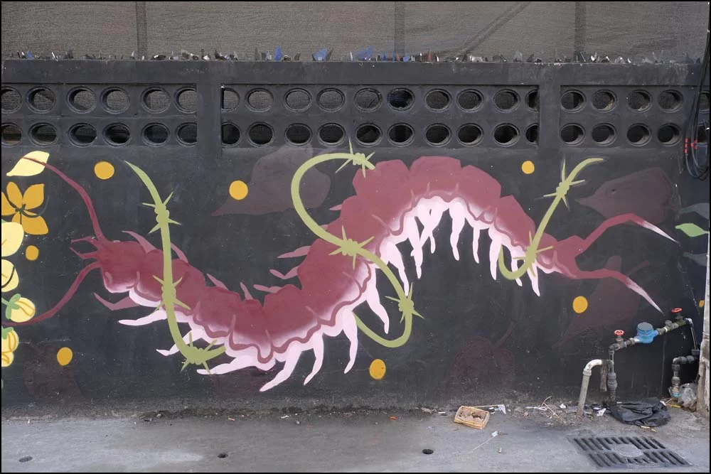 26-0039 Väggmåning, tusenfoting CHM.webp