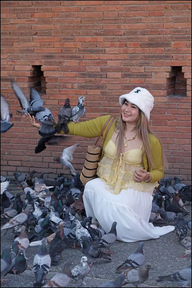 26-0046 Flicka med duvor, Tapae gate CHM.webp