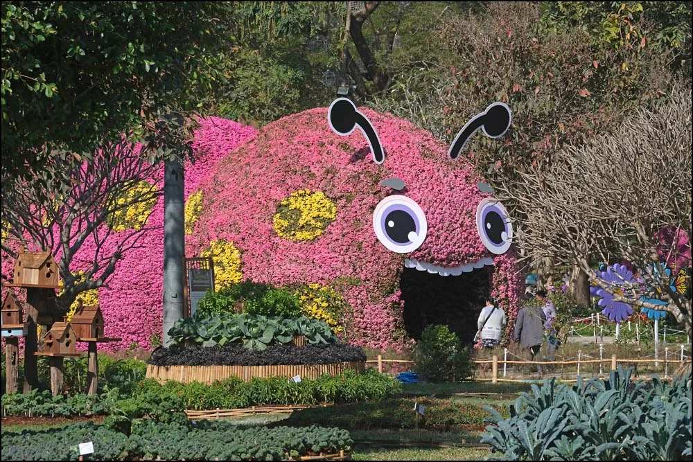 26-0055 Blomsterfestivalen CHR.webp