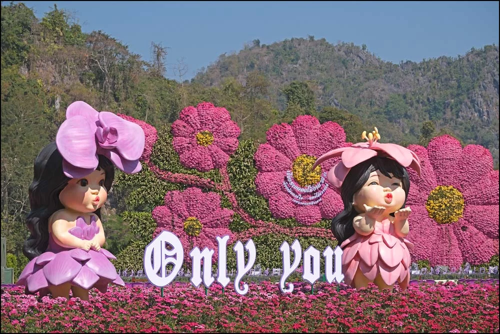 26-0069 Blomsterfestivalen CHR.webp