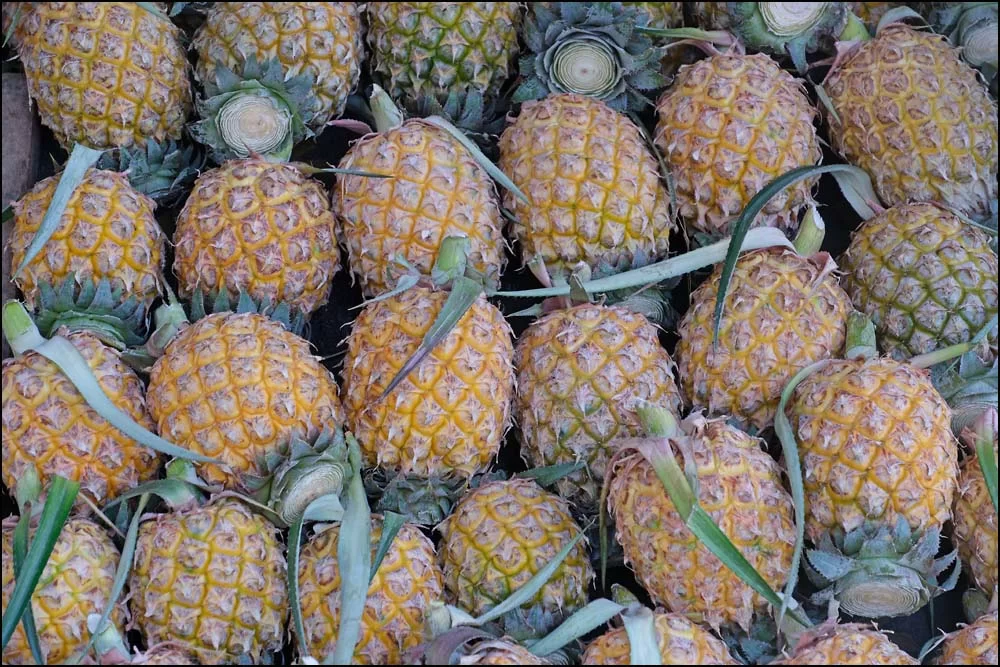 26-0086 Ananas till salu CHR.webp