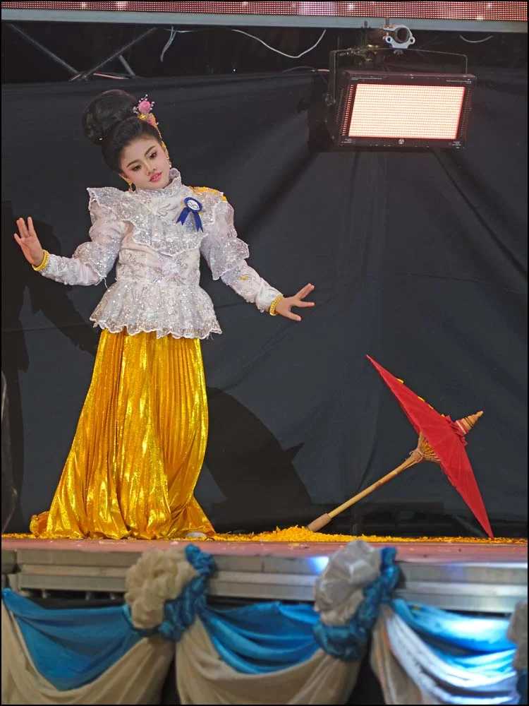 26-0146 Dansös PYO.webp