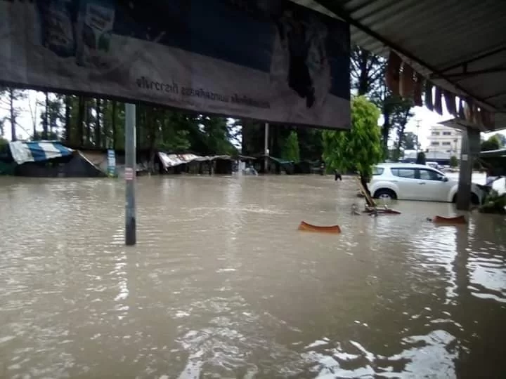 69405210_1065256990329517_7070754580086128640_n (1).webp