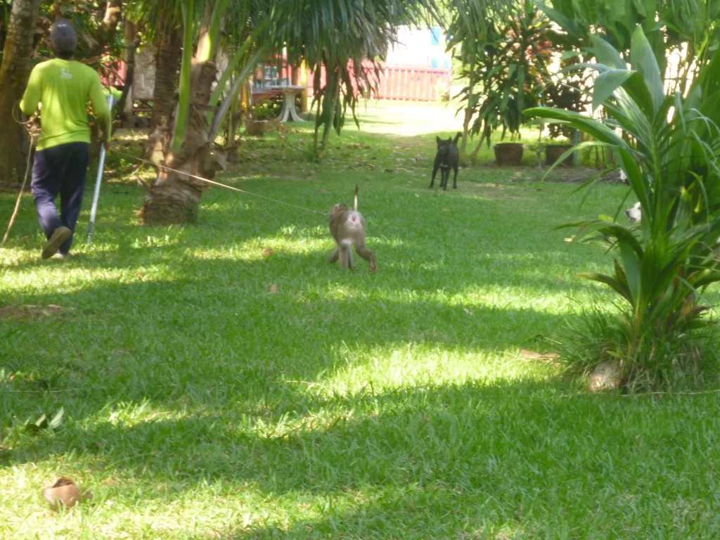 ååååååååååååååååååååååååå 011.webp