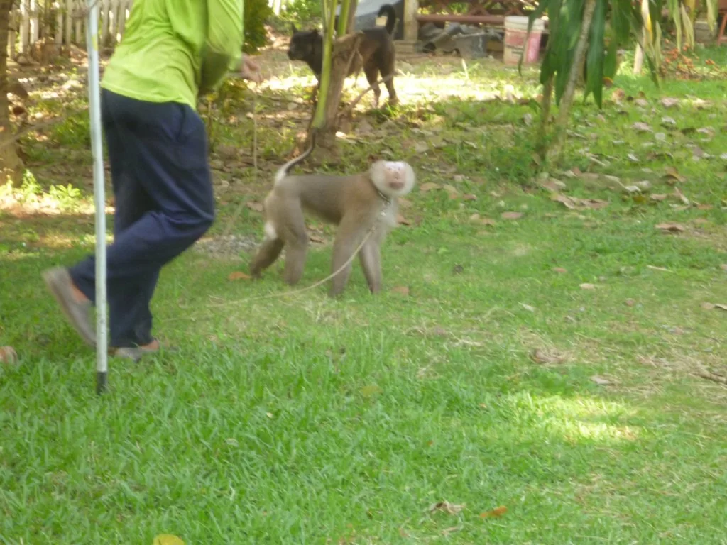 ååååååååååååååååååååååååå 014.webp