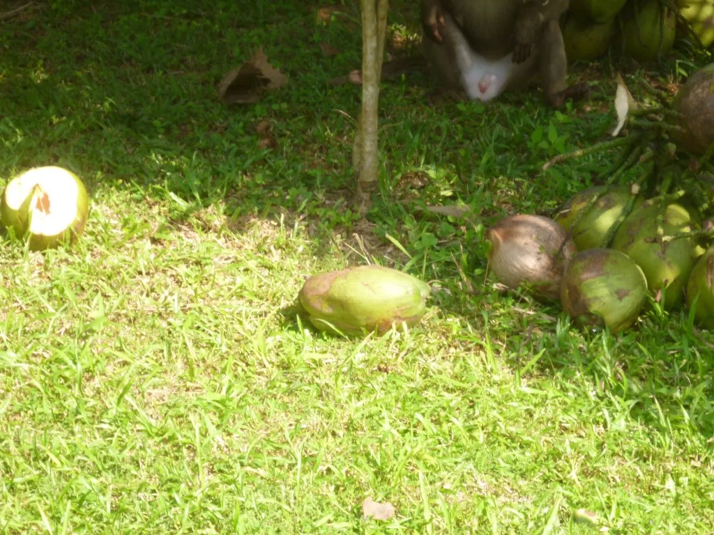 ååååååååååååååååååååååååå 017.webp