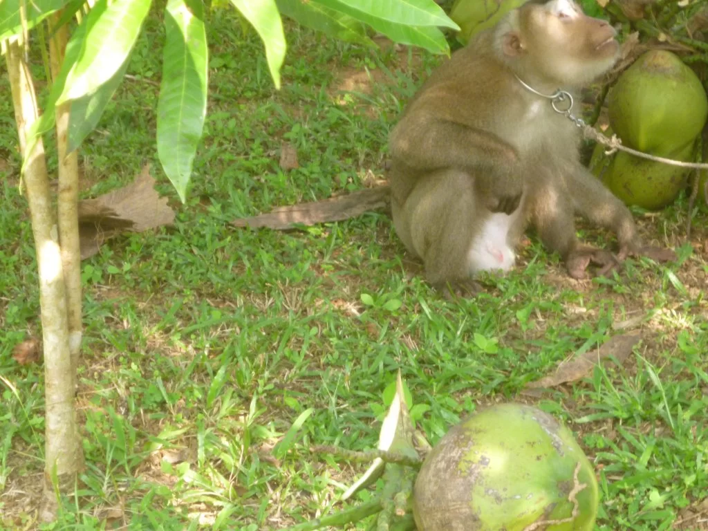 ååååååååååååååååååååååååå 019.webp