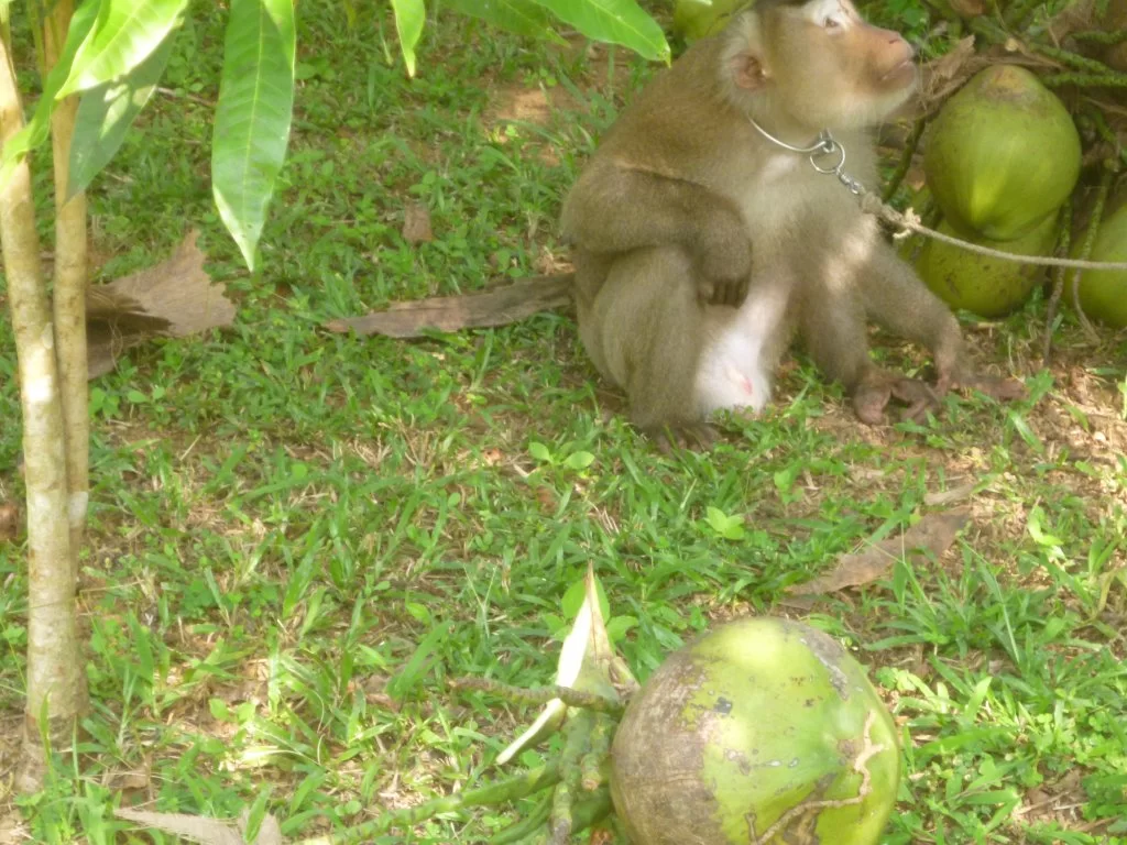 ååååååååååååååååååååååååå 020.webp