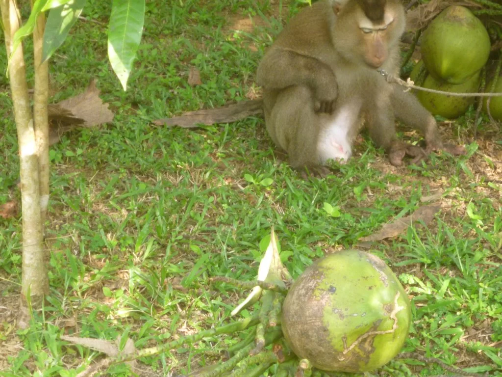 ååååååååååååååååååååååååå 021.webp