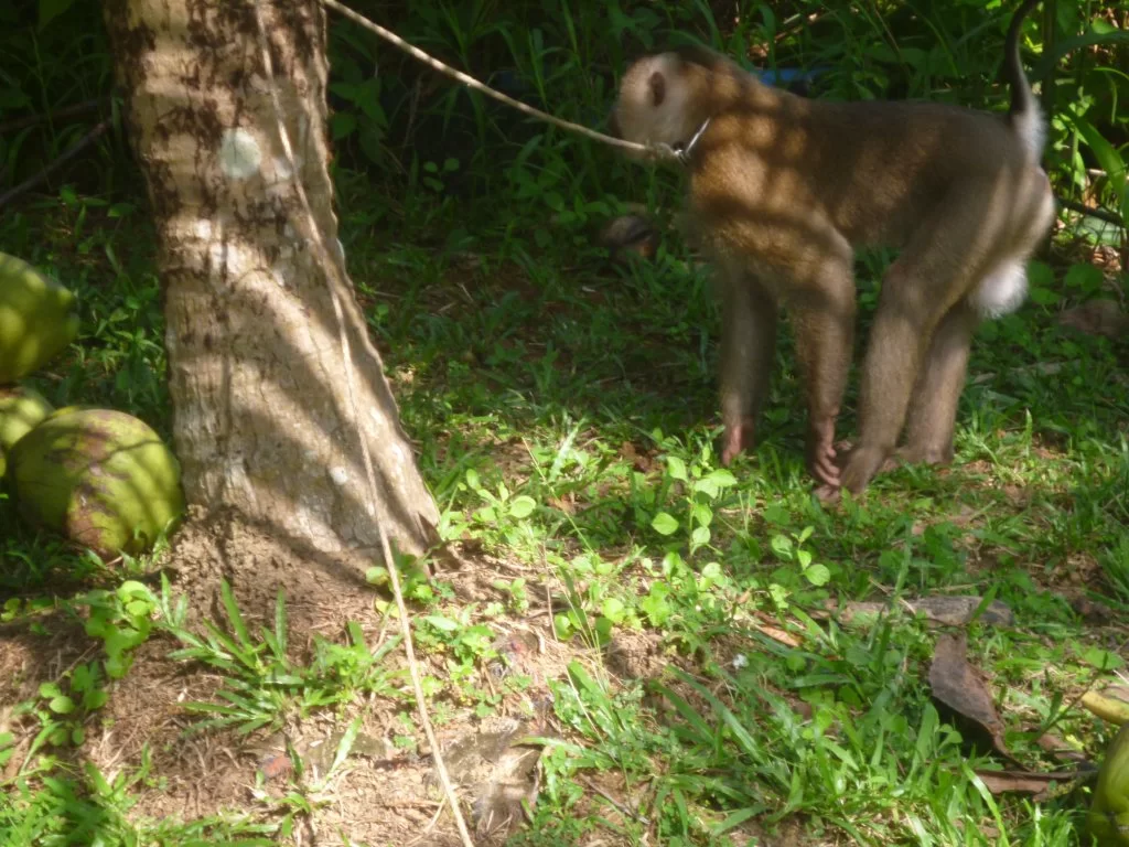 ååååååååååååååååååååååååå 022.webp