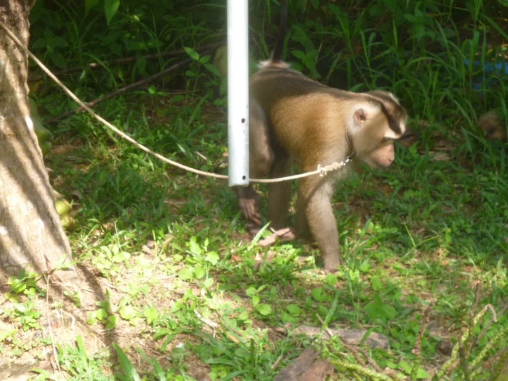 ååååååååååååååååååååååååå 024.webp