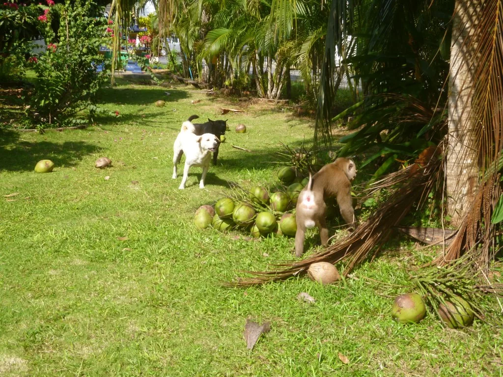 ååååååååååååååååååååååååå 028.webp