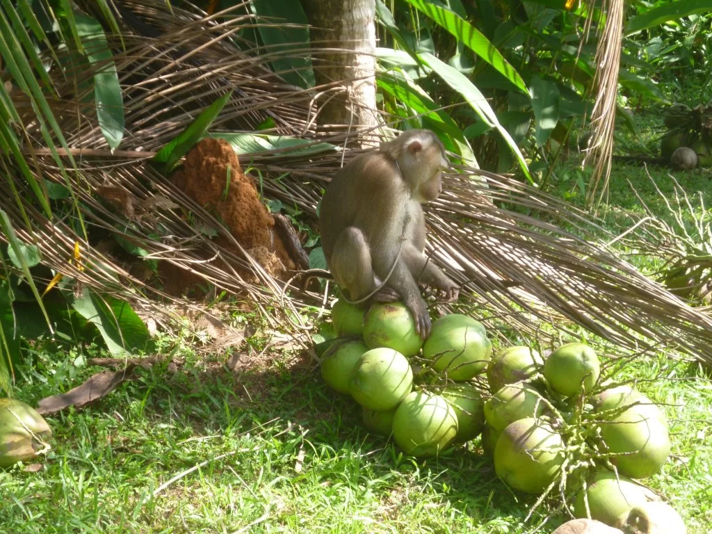 ååååååååååååååååååååååååå 029.webp