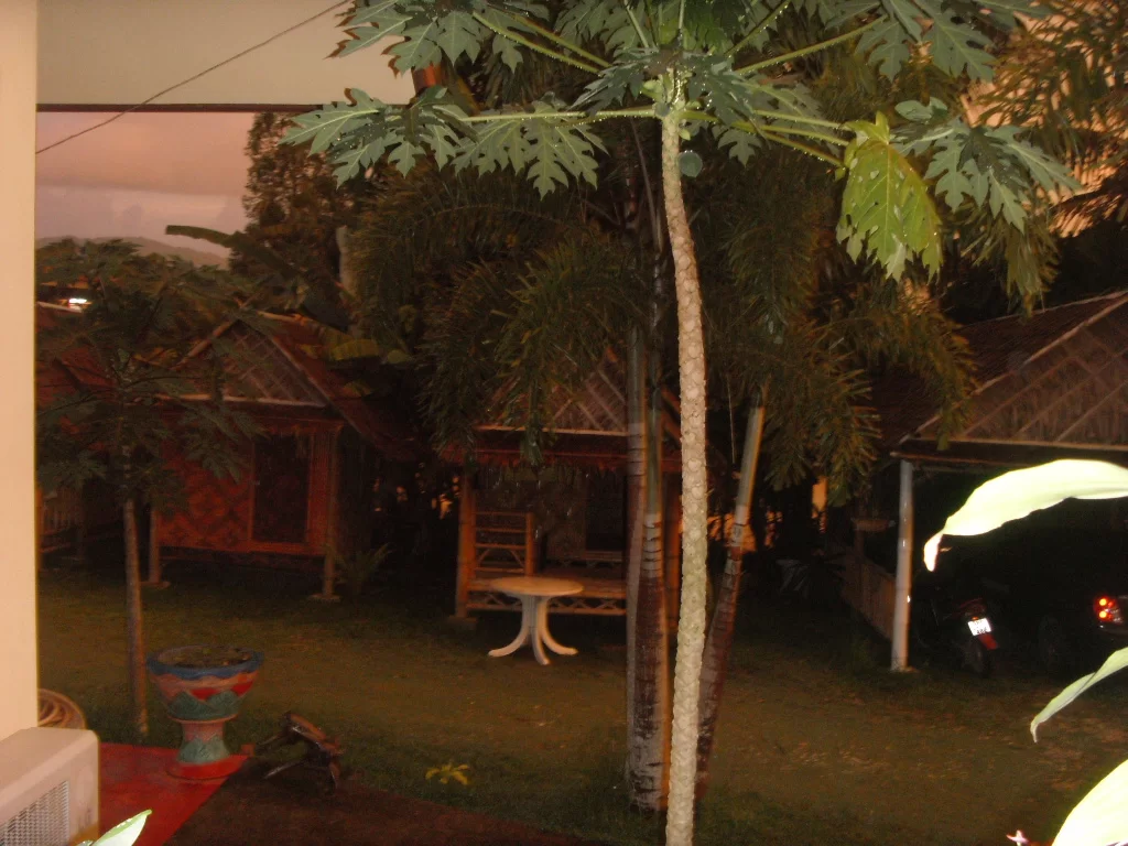 bambo bungalow (10).webp