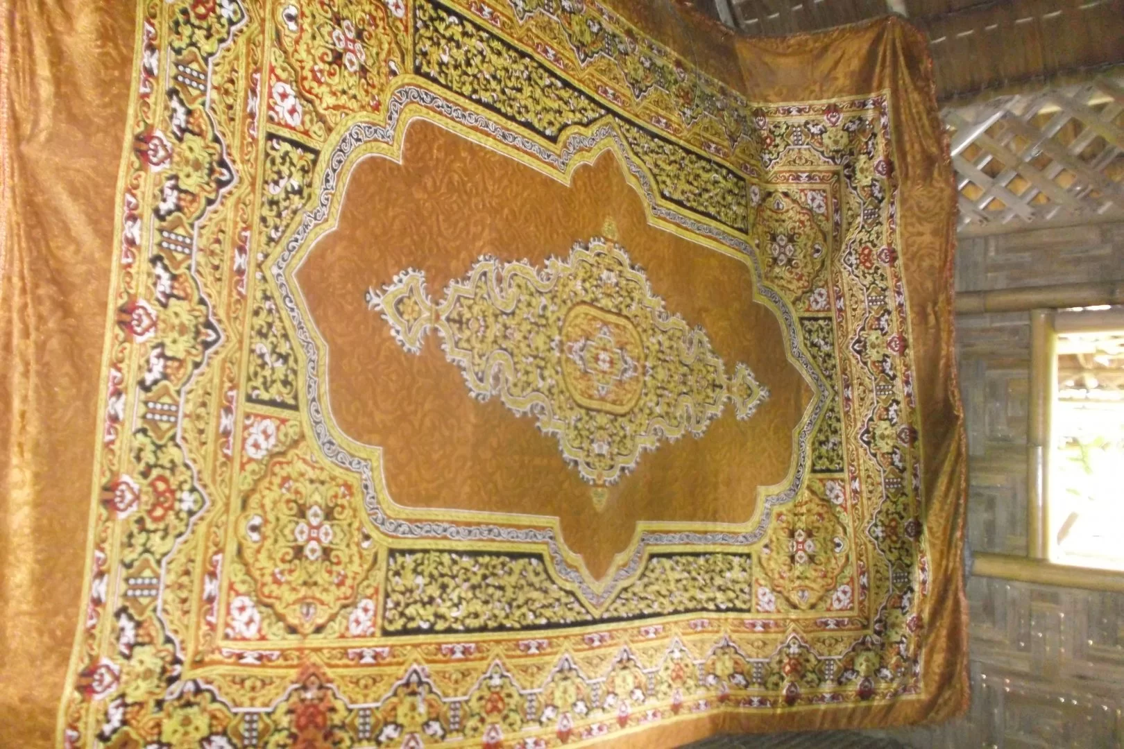 bambo bunge (3).webp