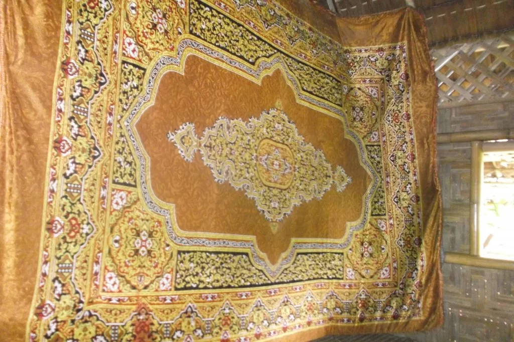 bambo bunge (3).webp