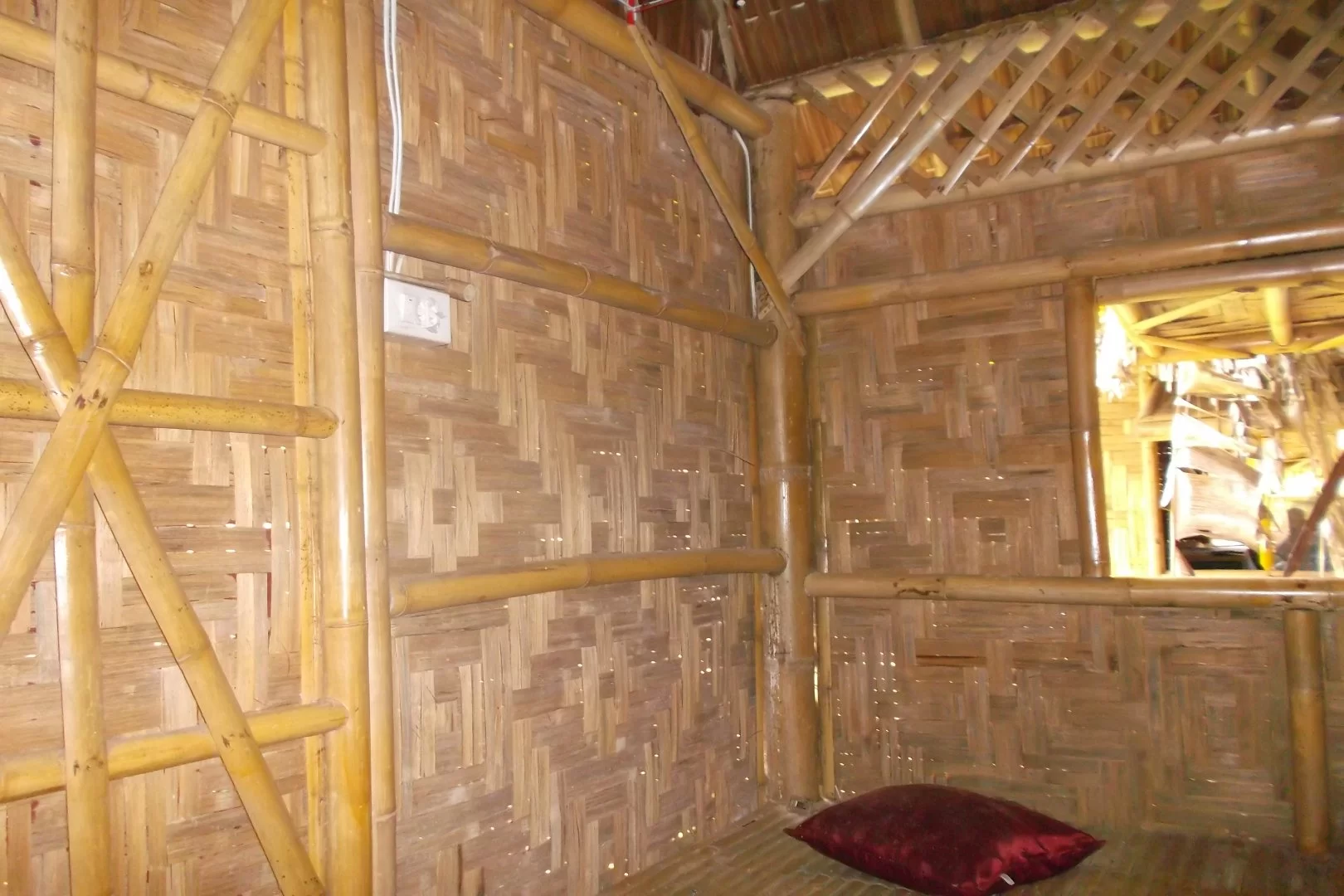 bambo bunge (5).webp