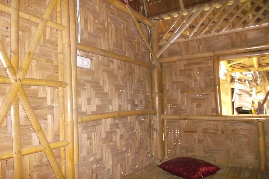 bambo bunge (5).webp