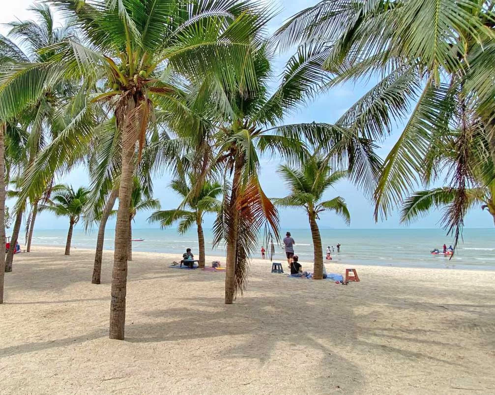 Bangsaen beach svw2.webp