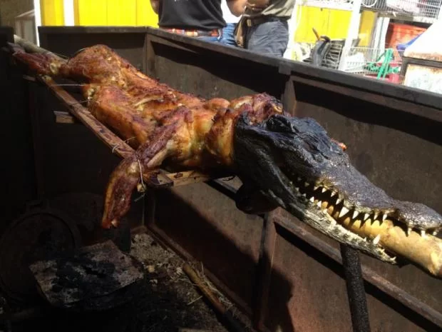 bbq croc.webp