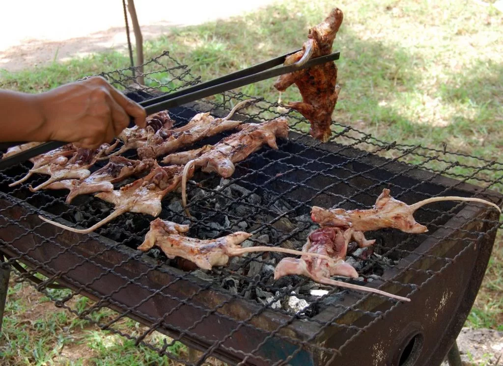 bbq rat2.webp