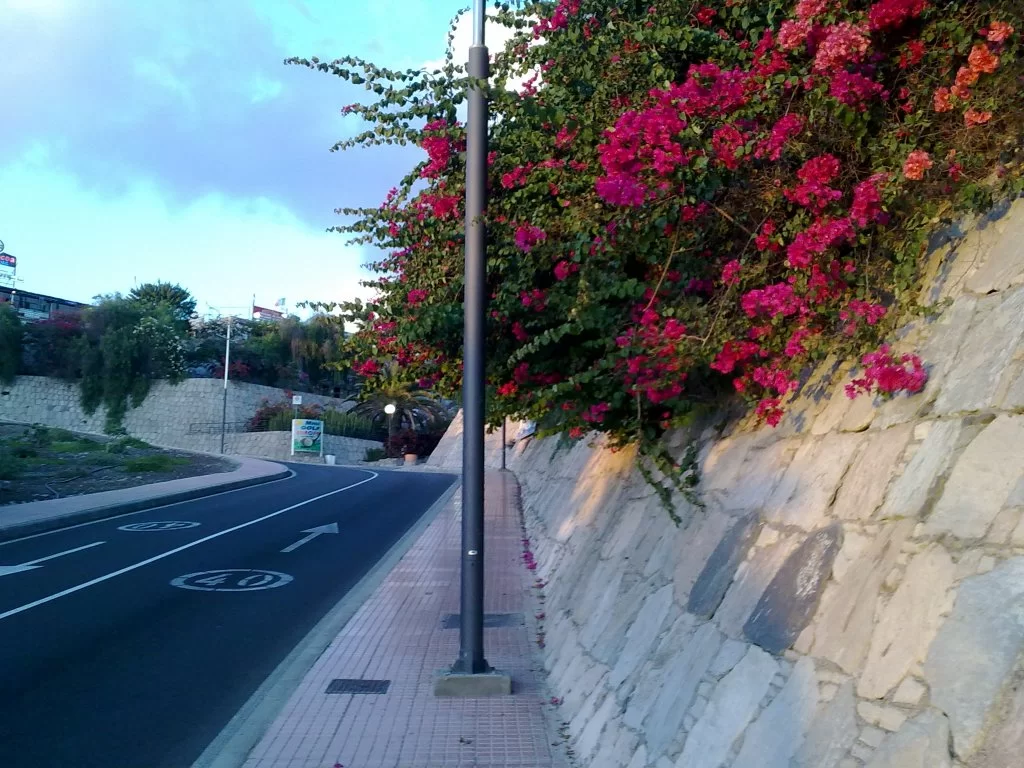 bilder nokia 097.webp