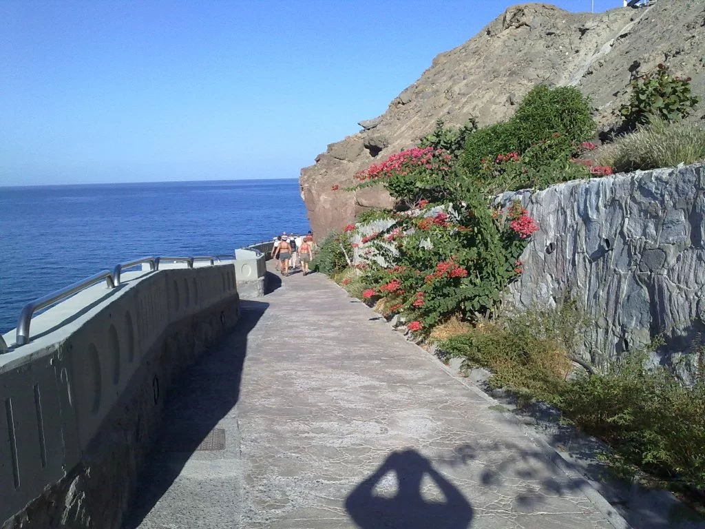 bilder nokia 104.webp