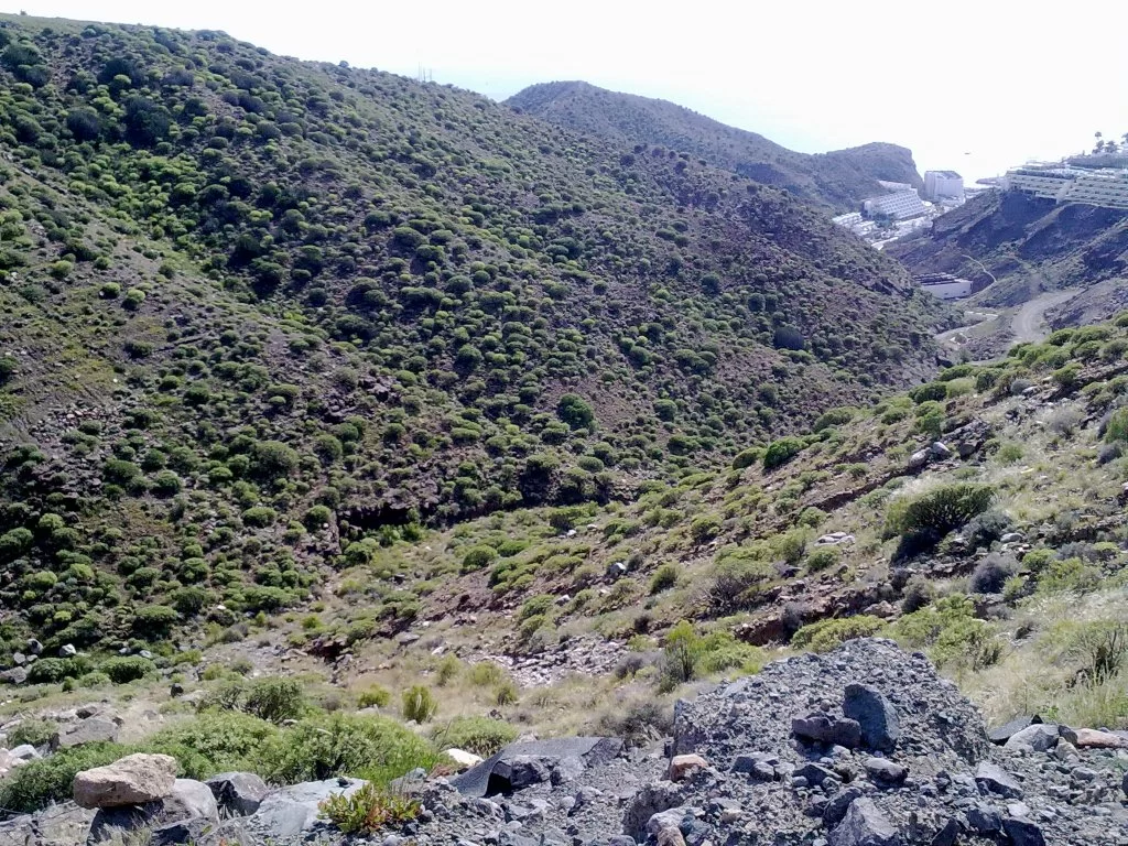 bilder nokia 125.webp