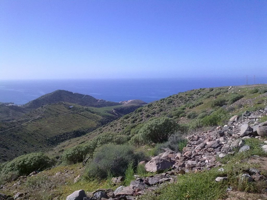 bilder nokia 158.webp