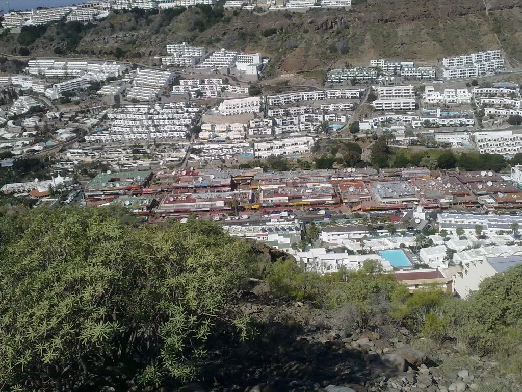 bilder nokia 160.webp