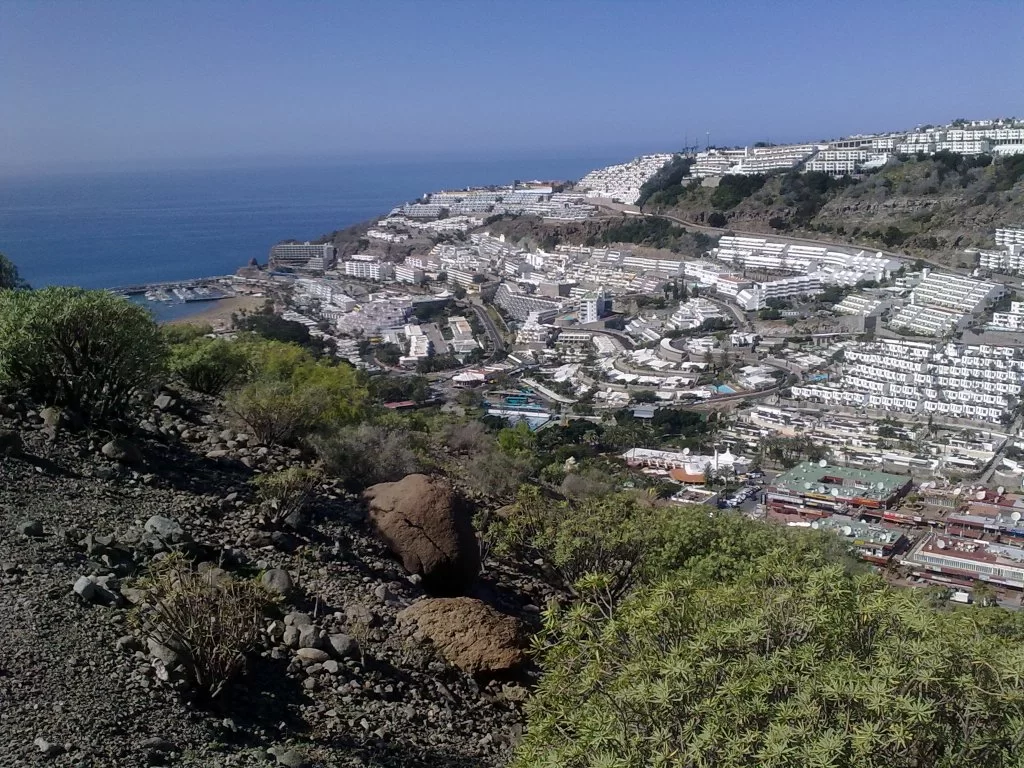 bilder nokia 161.webp