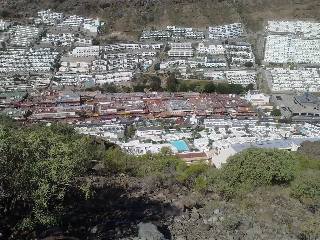 bilder nokia 163.webp