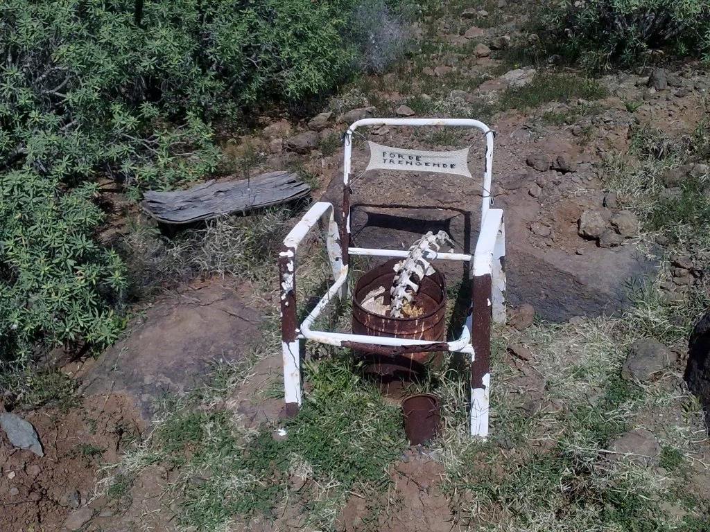 bilder nokia 216.webp