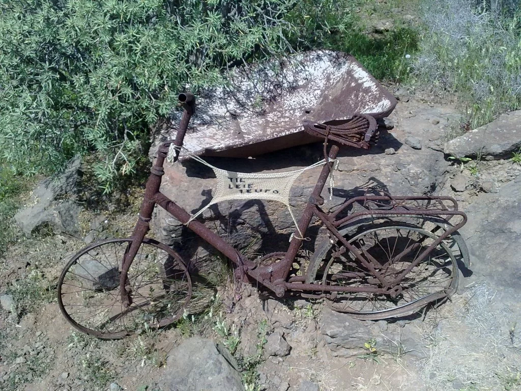 bilder nokia 217.webp