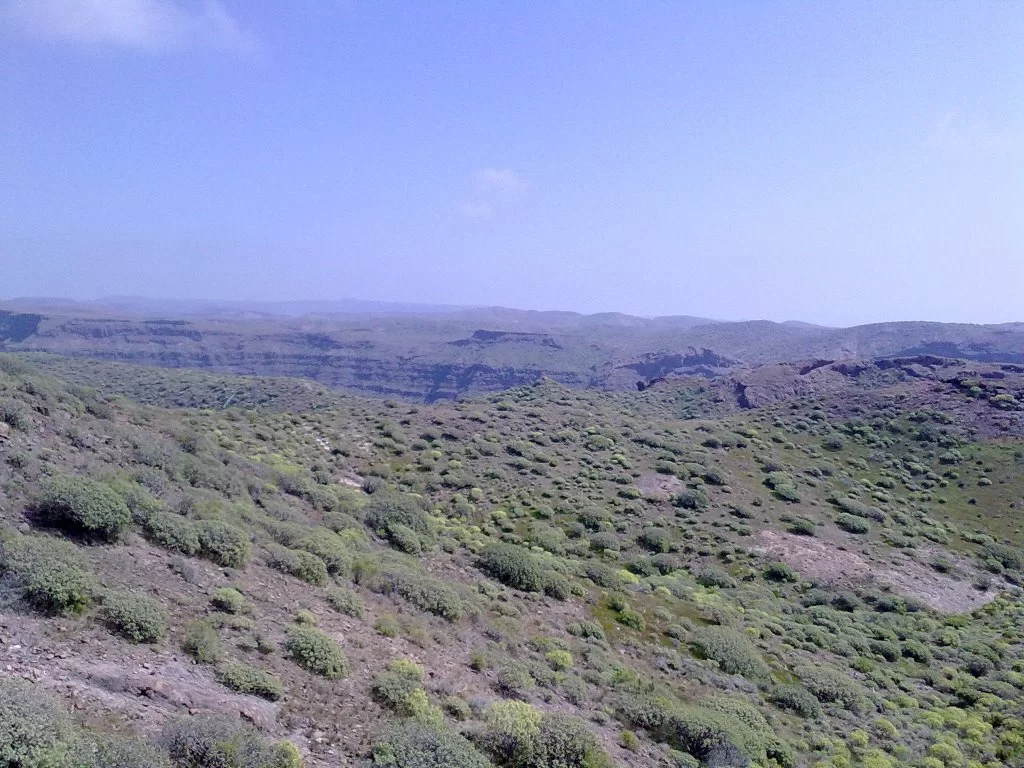 bilder nokia 225.webp