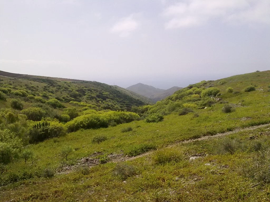 bilder nokia 228.webp