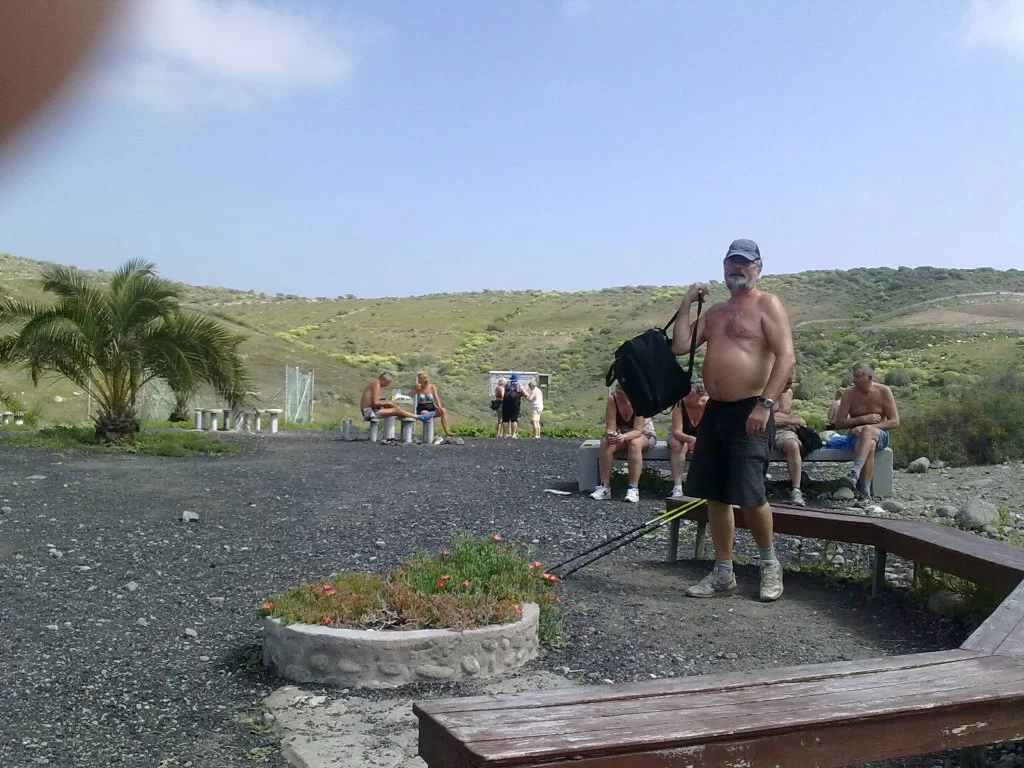 bilder nokia 231.webp