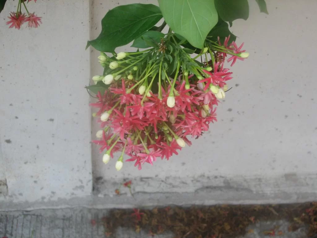 Bkk sista dagen 015.webp