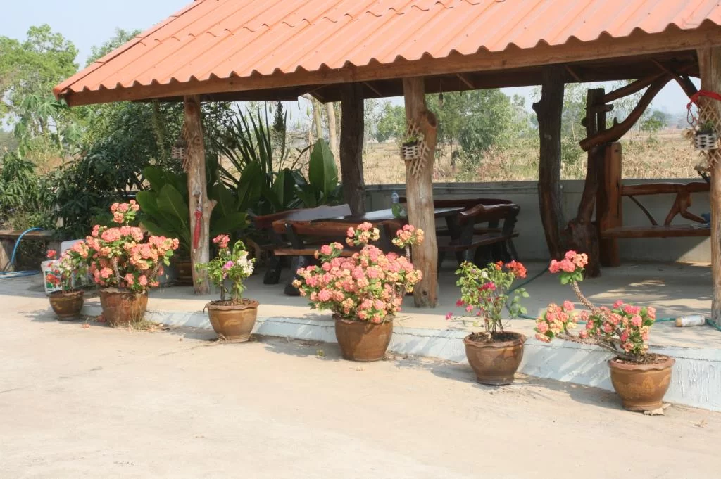 Blow.2 granat 352.webp