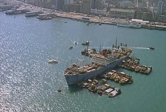 Boj liggare (2).webp