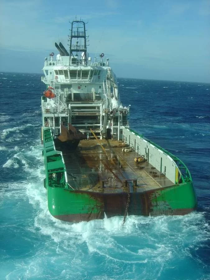 bourbon dohlfin  40 minuter  innan hon slog runt.webp