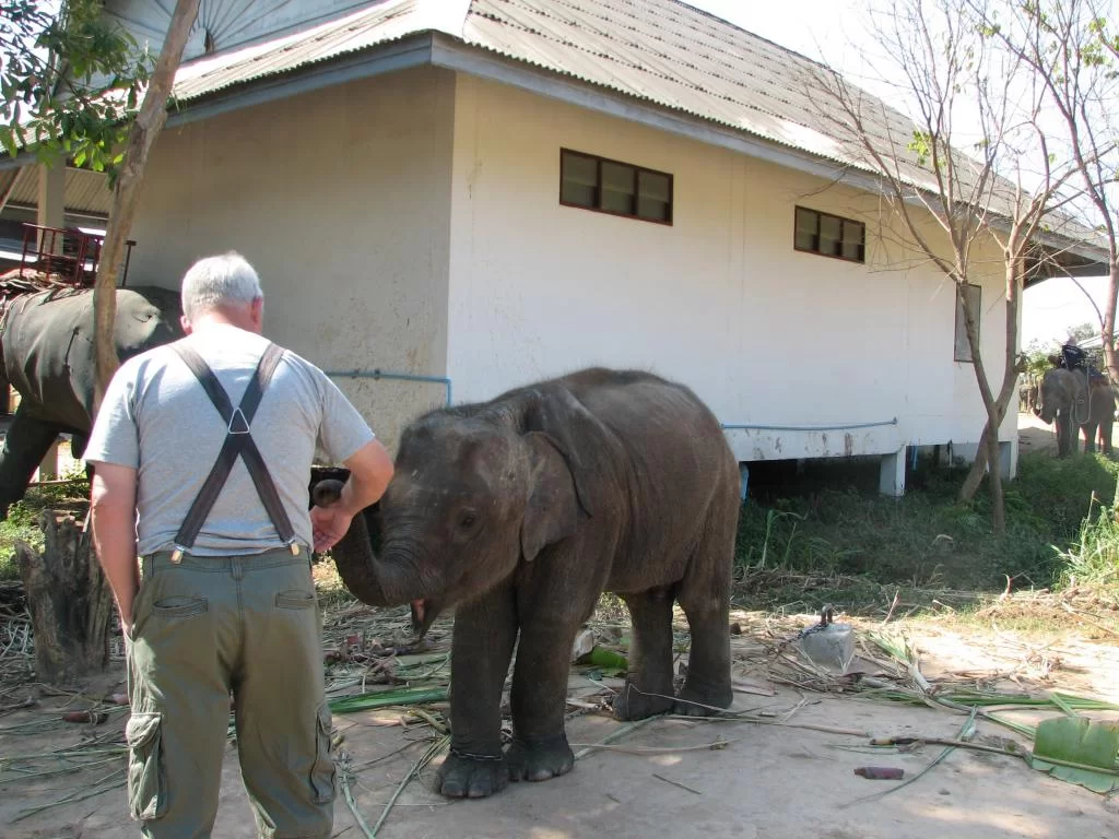 Breda damer 077.webp